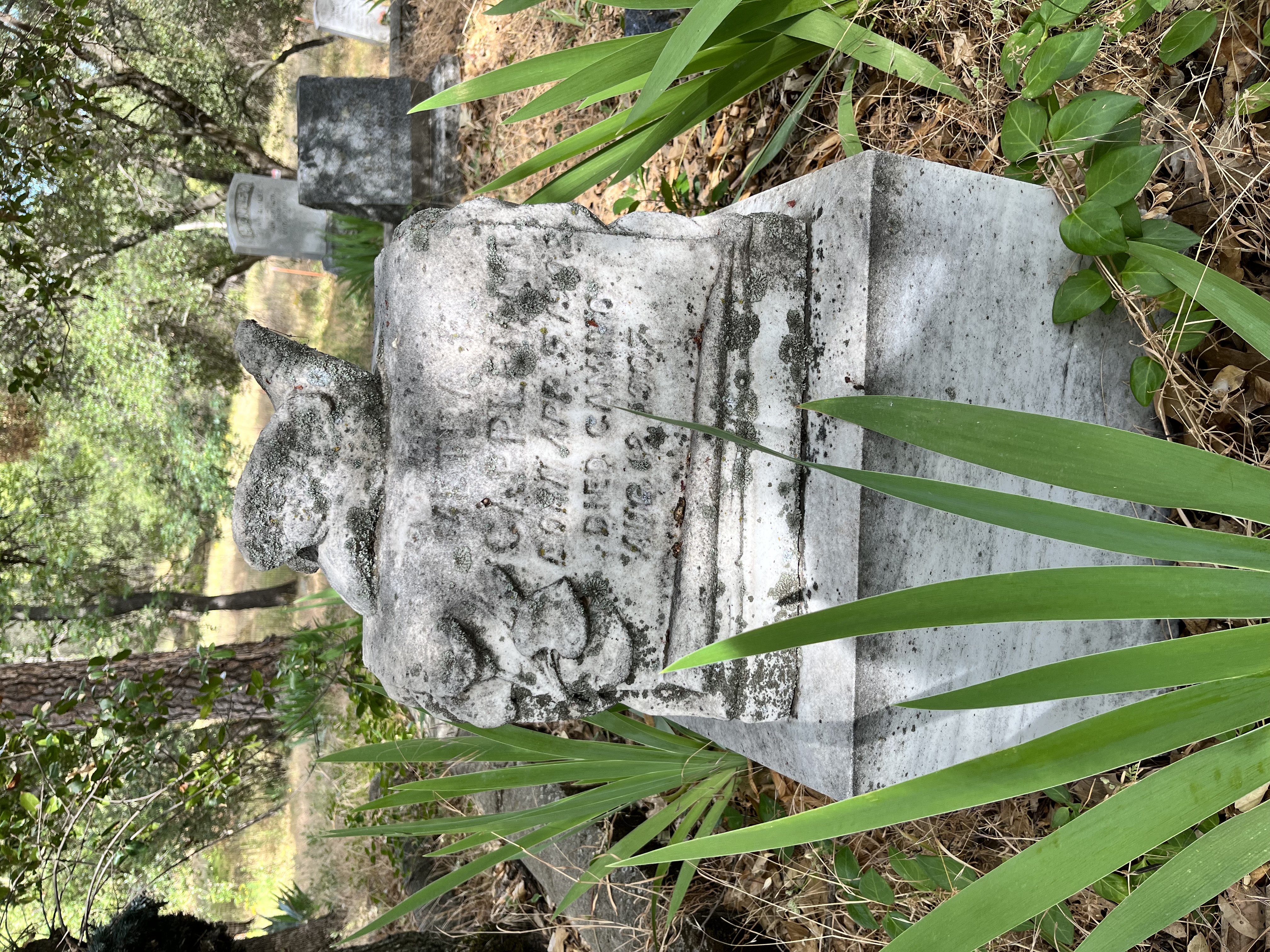 El Dorado Cemetary, tombstone