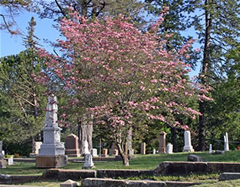placerville-union-cemetery-dogwood.jpg