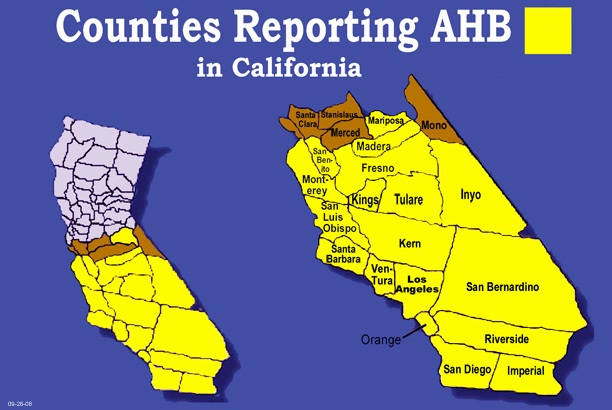 image of California Counties reporting Africanized Honey Bees