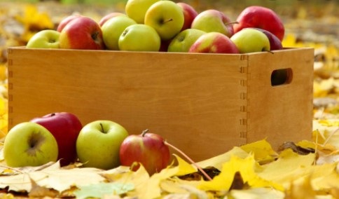 image of box of apples