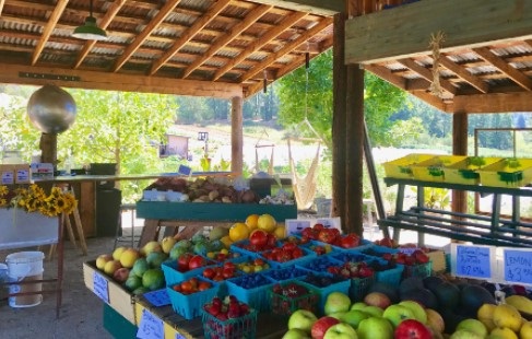 image of apple farm