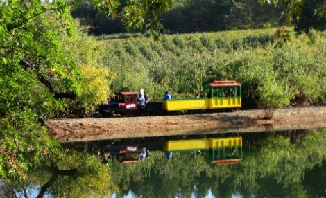 image of apple farm pond and train