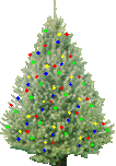 image of christmas tree