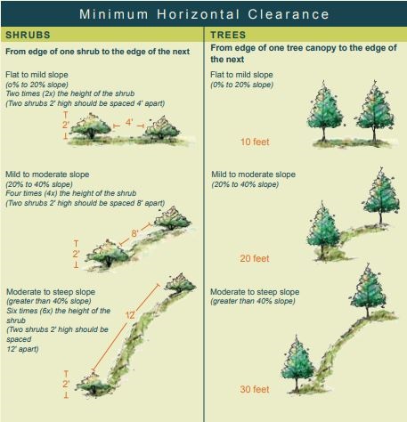 Vegetation Management minimum horizontal clearance