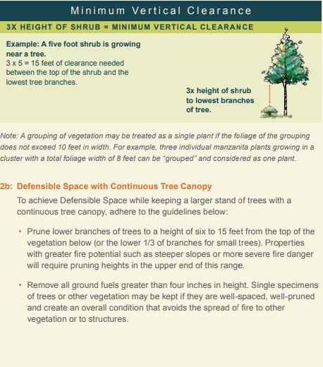 Vegetation Management minimum vertical clearance