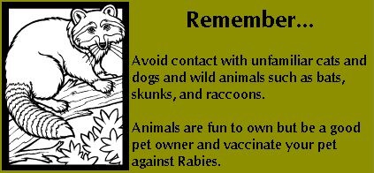 Image of Rabies Facts