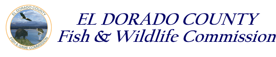 Fish & Wildlife Logo Title